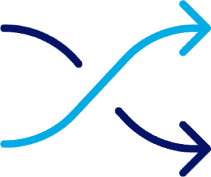 Multiple Arrows Icon