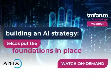 Building An AI Strategy Webinar